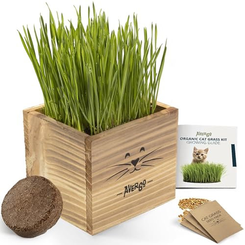 Cat Grass Kit for Indoor Cats – x2 Seed Packets