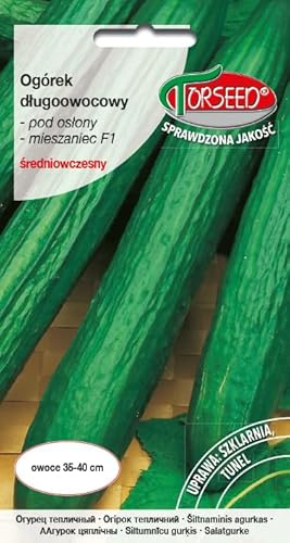 Verdica Semillas de pepino Emerald Horizon Cucumis sativus – Híbrido de efecto invernadero de frutos largos, madurez media-temprana, alto rendimiento, ideal para creaciones frescas y en escabeche (1