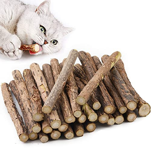 Aidiyapet Katzenminze Sticks & Toys, Matatabi Silvervine Kaustäbchen, Zahnkauen für die Zahnreinigung, Indoor Cat Toys