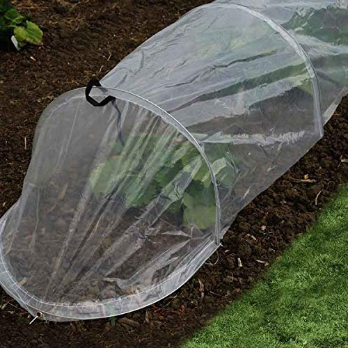 Garden Mile 3.1M Clear Polytunnel Greenhouse – Mini Grow Tunnel with Galvanised Steel Frame & Clear Plastic Sheeting - Garden Cloche Plant Cover, Frost Protection for Vegetables & Raised Beds