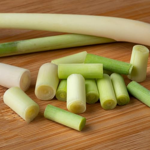 zitronengrassamen geringe wartung unkompliziert zu pflegen 500pcs