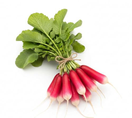 Semi Ravanello Flamboyant 6g | Ravanelli Croccanti e Precoci | Semi Alta Germinazione | Varietà Rapida Crescita | Ideali per Orto, Balcone e Vaso | Semi Professionali Multiseme