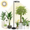 Rayofly Lámpara de Planta LED de Espectro Completo, 100W luz de la Planta para las Plantas de Interior, Lámpara de Crecimiento de Altura Ajustable con Temporizador 4/8/12H y 132 Perlas de Luz