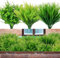 HBell 18PCS Outdoor Artificial Fern Plants UV Resistant Greenery Shrubs Plants Outside Artificial Grass Faux Plastic Placnts for Window Box Planter Hanging Basket Home Garden Decorating (Mixed Green)