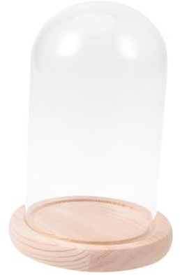 Cabilock cúpula de Cristal de Flores secas Campana Decorativa Cristal Transparente decoración Vegetal Vidrio Cubierta cúpula Flores Cubierta Mini
