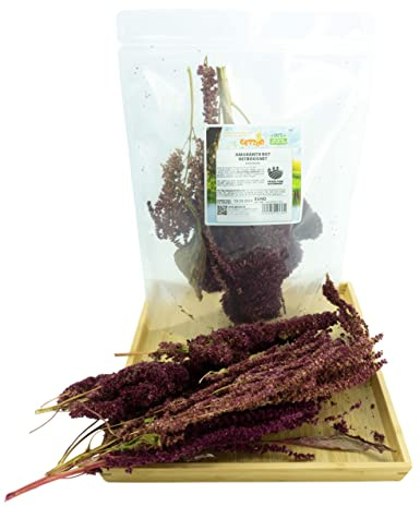 Getzoo Amaranth Rot - Getrocknet (Bund) | Natürliche Nahrungsquelle für Nager | Deutsche Qualität | Ballaststoff- & Proteinreich | Ideal für Meerschweinchen, Kaninchen, Hamster