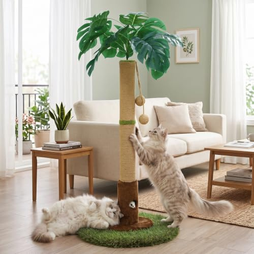 Woochpet Cat Scratching Post for Indoor Cats and Kitten - 35.43 Tall Cat Scratching Post with Sisal Rope,Palm Tree Cat Scratch Post with Hanging Ball
