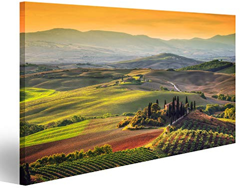 Bild Bilder auf Leinwand Toskana-Landschaft bei dem Sonnenaufgang, der für das toskanische Gutshaus der Region typisch ist, wachsen Hügelweinberg Italien Wandbild, Poster, Leinwandbild NDG