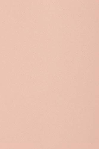 Netuno 20 ark tonkartong ljusrosa DIN A4 21 x 29,7 cm 250 g burano rosa ädel färgkartong för förpackningar kort inbjudningar papperslådor dekorativ kartong pysselkartong färgad