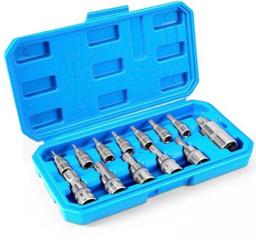 Ghekkli Jeu de 13 Douilles et Embouts Torx, Embouts T8 à T60 en Acier S2, Douilles Chrome Vanadium 1/4, 3/8, 1/2, Coffret Compact pour Mécanique & Bricolage