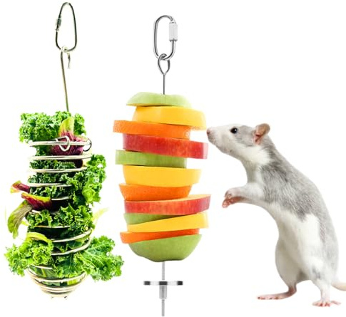 Rat Toys 2 Pack Cage Accessories, 304 Stainless Steel Veggie Fruit Slow Feeder Hanging Holder, Rodent Toys Foraging Enrichment Stuff for Bird, Fancy Mice, Hamster, Guinea Pig, Chinchilla Squirrel