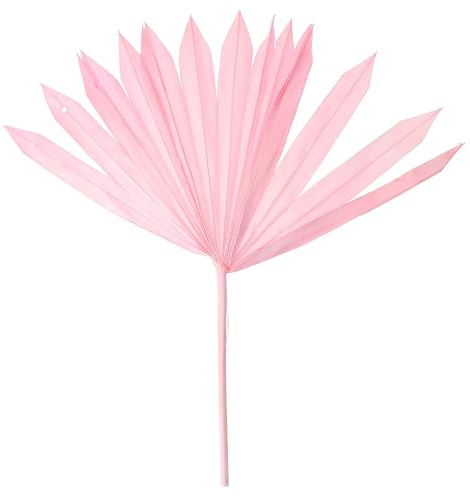Ipetboom Composizione Floreale di Foglie di Palma Secche Rosa per Decorazioni Matrimonio e Festa Materiale per Composizioni Floreali Fai da Te Ornamento Naturale per Interni ed Esterni
