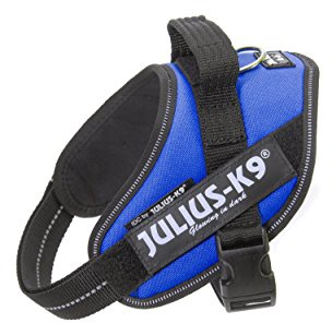 Julius K9 Hundegeschirr, Brustgeschirr reflektierend Hunde Geschirr mit personalisiertes Geschenk, benutzerdefinierter Klettsticker (XS/Mini-Mini, Blau)