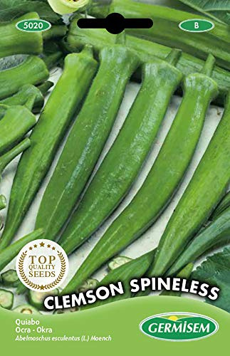 Germisem Clemson Spineless Semi di Okra 6 g