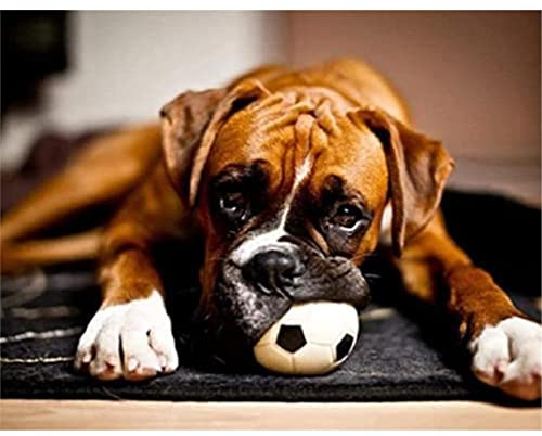 YSCOLOR Diamant Painting 5D Diamant Malerei Kits Boxer Hund Spielt Mit Ball Diy Full Drill Strass Stickerei Bilder Diamond Art Kits Für Erwachsene Geschenk Z1232 30x40cm