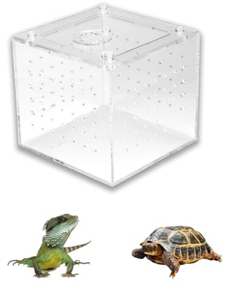 1 Stück Reptilien-Zuchtbox, Reptilien-Terrarium-Futterspender, Schlangen, Spinnen, Eidechsen, Zucht-Acryl-Box, Insektenhaus Für Vogelspinnen, Geckos, Grillen
