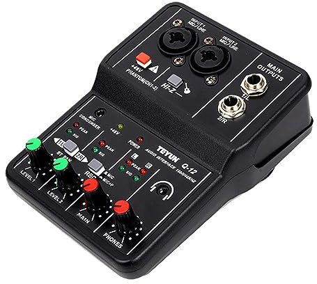 Interface audio professionnelle 16 bits/48 kHz Mini USB Interface audio Carte son 2 entrées et 2 sorties avec câble d'alimentation fantôme 48 V USB-B Équipement d'enregistrement de studio pour