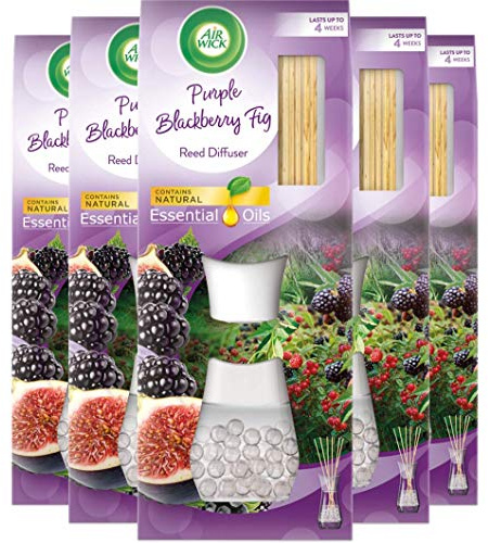 Air Wick Air Freshener Reed Diffuser, Purple Blackberry Fig, Pack of 5 x 33ml