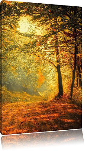 Pixxprint Wald im Herbst, Größe: 80x60cm, Leinwandbild, fertig gespannt, Wandbild, Dekoration, Kunstdruck, kein Poster