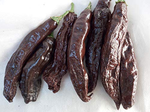 SEMI PEPERONCINO-AJI AMARILLO-AJI PANCA-