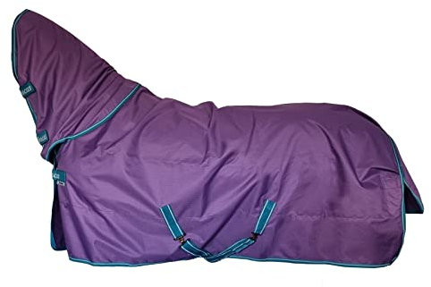 Free-Dom Turnout Light F/N, 145, Violet/Green