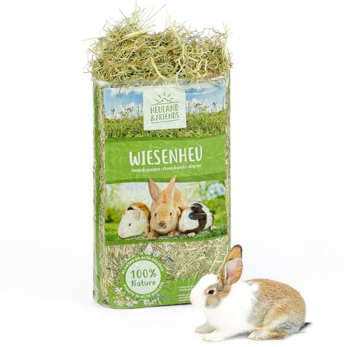 Heuland Wiesenheu 1 kg – för kaniner, marsvin och kaniner – naturligt premiumhö från artrik äng – soltorkad – hög råfiberhalt – för matsmältning och tandnötning (1 kg)