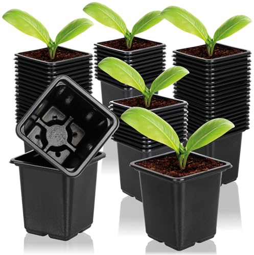 com-four® 60x macetas de Cultivo para Plantas - macetas para Cultivo - Maceta para Cultivo de Plantas (54 x Cuadrado - Negro)
