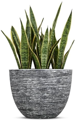 SG Traders Premium Plant Pots and Garden Planters Stylish Large Plant Pot Planter for Outdoor & gardens Use Durable Pots and Planters to Enhance Your Garden with Beautiful Planter(29cm)