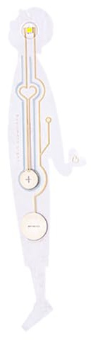 Lampada da lettura per libri, segnalibro magnetico, 16 x 4 cm, torcia LED per lettura, design separabile portatile per tavolo, camera da letto, sala studio, viaggi, notte o come regalo