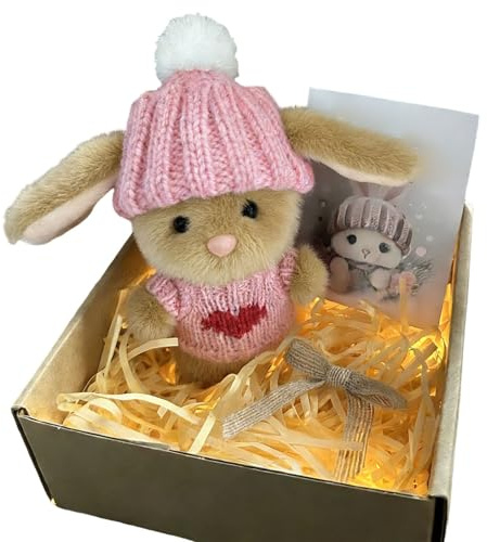 Mini Bunny Hug Cute Easter Gift, Oster Plüschhase mit Strickmütze & Bommel, Hase In Einer Box Umarmt Positives Easter Bunny Toys Hug In A Box, Positive Plüschtiere Osterhasen für Frauen Männer