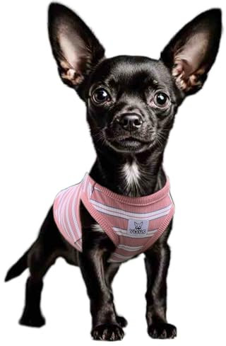 YQYS Dog Shirts Multi-Color Striped Cotton Vest for Small Dogs and Cats Puppy Clothes Teacup Dog Clothing Tank Top for Chihuahua Miniature Pinscher Pink XSmall