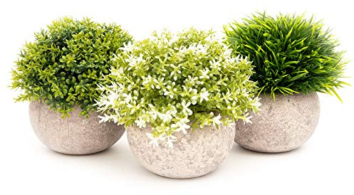 Coradoma Künstliche Pflanzen im Topf 3er Set Wohnzimmer Deko modern | Kunstpflanze Mini Sukkulente Küchendeko Blumen | Kunstblumen Fensterbank Schreibtisch Balkon (Natur-Grau, 3er Set)