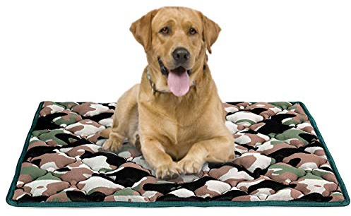 EVERGREENWEB Matratze für Hundebett oder Katze 90 x 115 cm, Matte 10 cm hoch, weiche Polsterung, Innenschicht aus Waterfoam, Bezug mit Air Space, Abnehmbar Und Waschbar