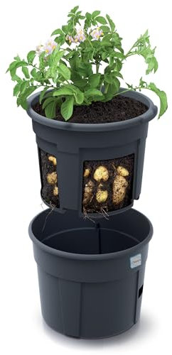 EDANTI Blumentopf für Kartoffel Schale Pflanztopf Topf Anzuchttopf Gemüse Tomaten Kartoffeln Pflanzkübel Pflanztopf Töpfe Garten Balkon Terrasse Anthrazit (39,2 cm)