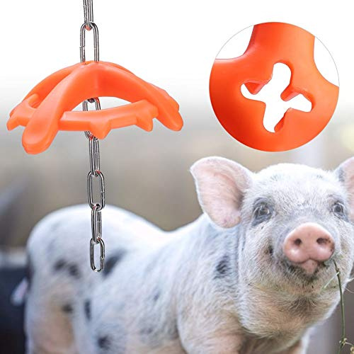 UPALDHOU Jouet à Mordre en Plastique avec Chaîne en Métal, Conception de Plaque à Mordre Creuse, Idéal pour Les Animaux de Ferme à Mâcher pour Porcelets, Jouet à Mâcher Vétérinaire pour éviter de,