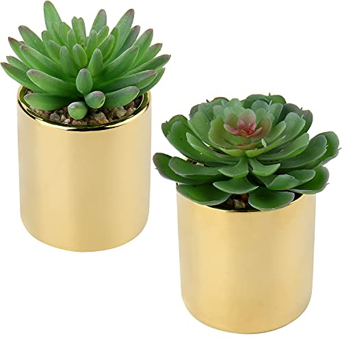 Briful Artificial Succulent Plants Fake Succulent in Gold Ceramic Pot, Set of 2 Small Artificial Plants Fake Plants Indoor for Kitchen Bathroom Bedroom Home Office Decor