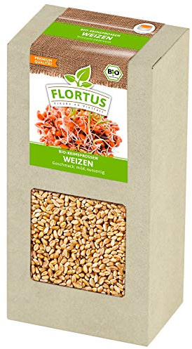 FLORTUS BIO Keimsprossen Weizen | Gesunde & leckere Keimsprossen | Sprossensaat | Keimsprossen | Keimsaaten