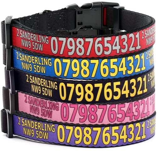 Hundehalsband mit Telefon, Adresse und Name. Personalisiertes Halsband für den Hund. Wählen Sie die Riemen- und Textfarbe (Uni)