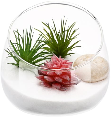 Glass Terrarium Jar, Cabilock Transparent Glass Bowl Glass Vase Round Slant Cut Glass Terrarium, Fish Bowl & Plant Terrarium, Slanted Globe Flower Vase Terrarium Jar for Mini-Landscapes