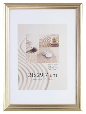 S216 Holz Bilderrahmen Acrylglas Lifestyle Foto Rahmen Collage Wanddeko Poster: Farbe: Gold | Format: 40x60