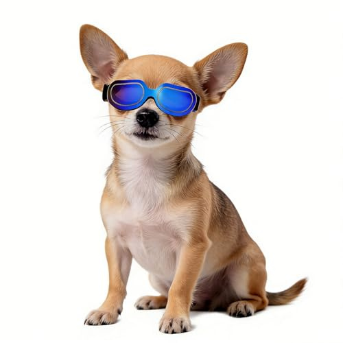 Namsan Dog Goggles Small Breed, Anti-UV Sunglasses for Dogs Small Breeds, Windproof Riding Dog Eye Protection, Yorkie Glasses with Elastic Straps, Easy Put-on/Adjustable, Bright Blue