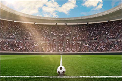 Muralo Fototapete Sport 270 x 405 cm Vlies Tapete Wandtapeten Fußball Stadion Ball Wohnzimmer Schlafzimmer Kinderzimmer Moderne Wandbilder XXL Junge Wand Dekoration