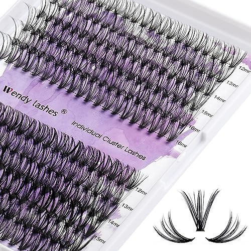 WENDY LASHES Wimpern Extensions 20D/30D Cluster Lashes 240PCS | Lash Cluster C Curl Mix12-16mm Einzelclusterwimpern DIY für Wimpernverlängerung