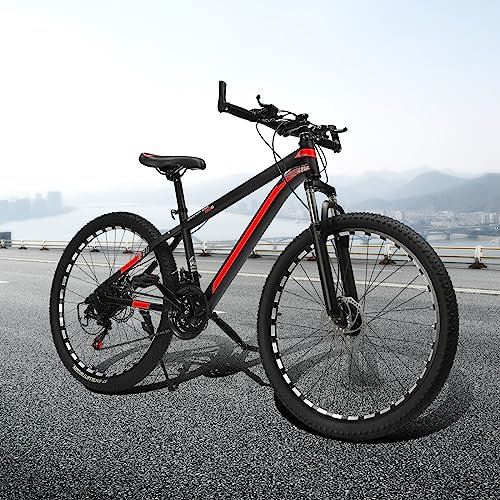 OMGGYER Herren Fahrrad 26 Zoll Jungen Mountainbike, 21 Gang MTB Gefaltetes Mountain Bike aus Hochkohlenstoffstahl mit Scheibenbremse, Jugendfahrrad 26 Zoll Faltrad Erwachsene Fahrräder (H)