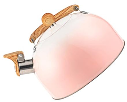 Alipis Hervidor De Silbato De Acero Inoxidable De Práctica Tetera De Camping Para Cocina y Salón De Té Con Sonido De Alerta
