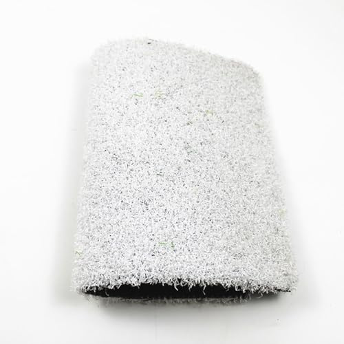 Générique Gazon synthétique Haut de Gamme, Imitation Gazon réaliste avec Trous de Drainage, pour aménagement paysager intérieur et extérieur.(2x2m)