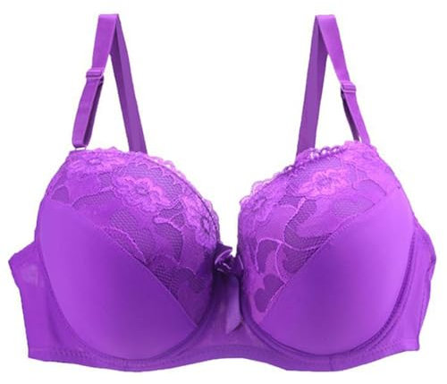 AMDOLE Front Fastening Bras for Women UK 40/90 42/95 44/100 BCDE Cup Bra Sexy Lace Bra for Women Lingerie Plus Size Super Push up Bra (Purple, 90D)