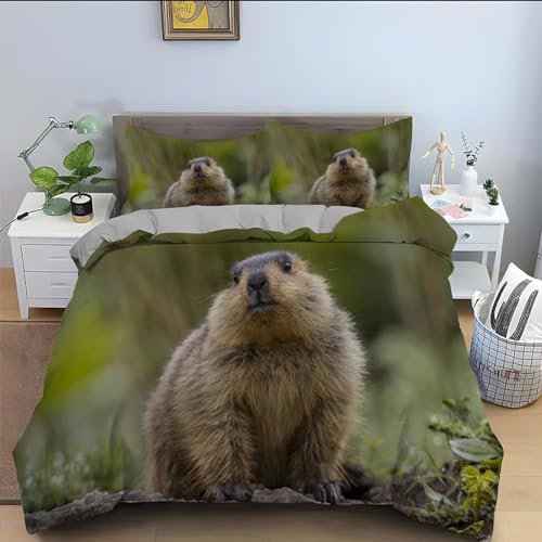 Tizhweqo Beaver Duvet Cover Double Animal Bedding Double Bed Set Soft Microfibre 3D Printed Beaver Quilt Cover with 2 Pillowcases with Zipped Closure D4299