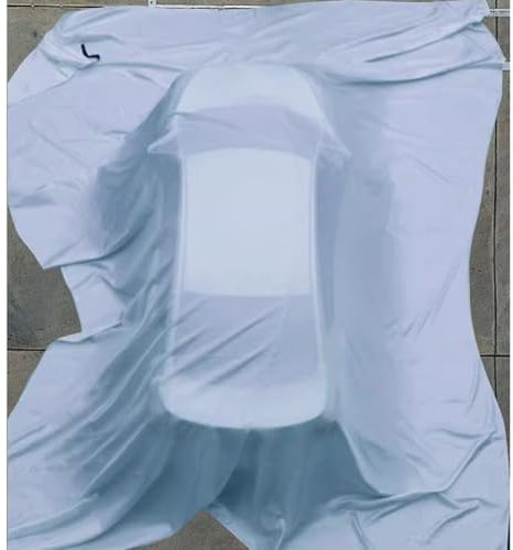 Sxlawesom Emergency Blanket for Car Electric Vehicle Truck Silicone Fireproof Tarp Cover for Grill Stove, Furniture, Flooring(19.7 * 26.3ft/6 * 8m)