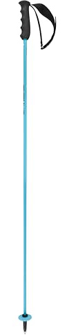HEAD Worldcup Rebels Carbon Bâtons de Ski Unisexe, Speed Blue/Noir/Blanc, 135